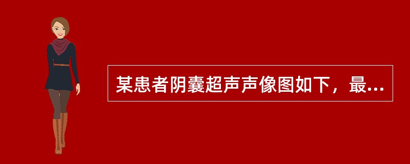 某患者阴囊超声声像图如下，最可能的诊断为（　　）。<br /><img border="0" style="width: 411px; height: