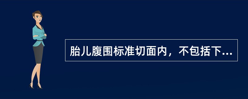 胎儿腹围标准切面内，不包括下列哪种结构？（　　）