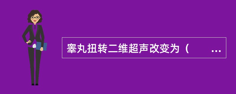 睾丸扭转二维超声改变为（　　）。