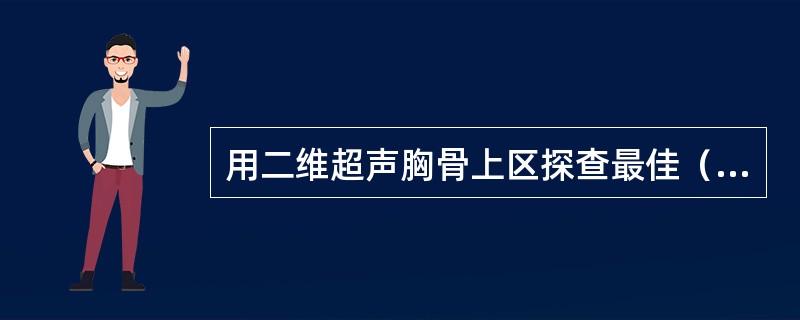 用二维超声胸骨上区探查最佳（　　）。