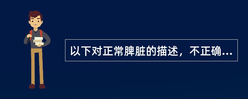 以下对正常脾脏的描述，不正确的是（　　）。