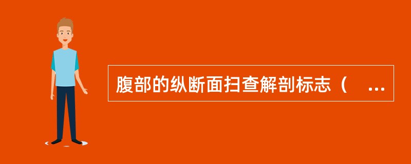 腹部的纵断面扫查解剖标志（　　）。