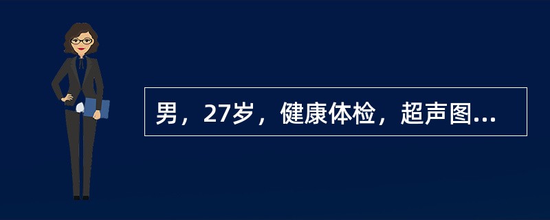 男，27岁，健康体检，超声图中箭头所指为（　　）。<br /><img border="0" style="width: 457px; height: