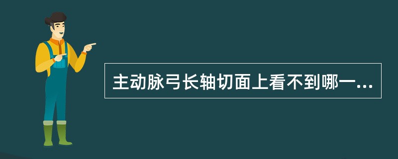 主动脉弓长轴切面上看不到哪一支血管？（　　）