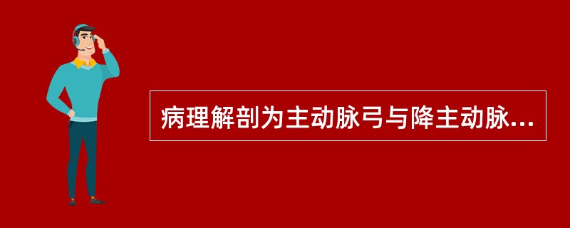 病理解剖为主动脉弓与降主动脉间无直接交通，发育不良的升主动脉与左室相连，右室发出肺动脉，通过未闭导管与降主动脉相连，常合并其他心内畸形，此病称（　　）。