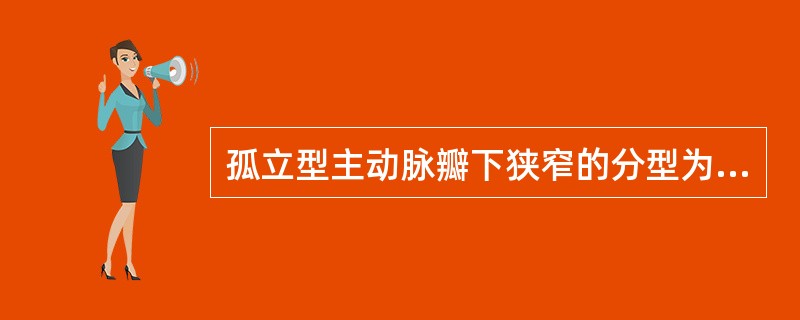 孤立型主动脉瓣下狭窄的分型为（　　）。