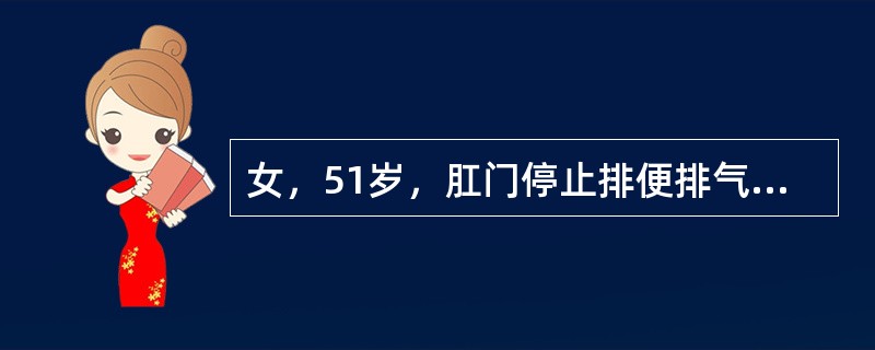 女，51岁，肛门停止排便排气1天。腹痛、无呕吐，有乙状结肠手术史。结合超声声像图，诊断为（　　）。<br /><img border="0" style=&quo