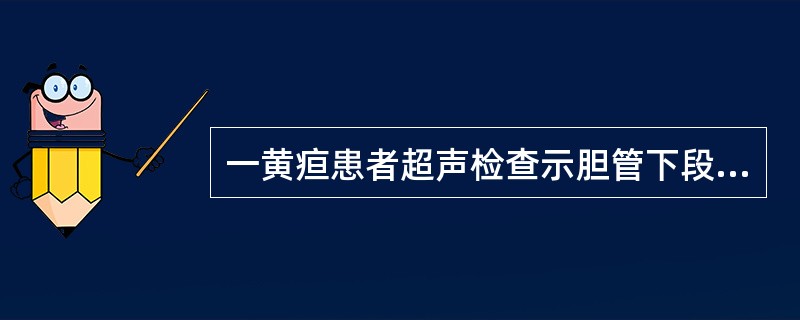 一黄疸患者超声检查示胆管下段胰头部增大，局部见3cm×3.5cm低回声肿块，呈分叶状，边界不清，肝内外胆管中度扩张，胆囊增大，主胰管扩张。其最可能诊断为（　　）。