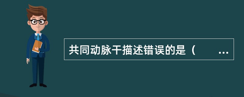 共同动脉干描述错误的是（　　）。