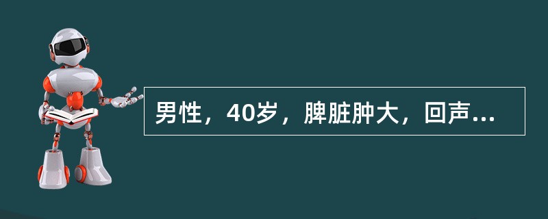 男性，40岁，脾脏肿大，回声轻度减低，实质内探及多个圆形低回声及无回声结节，边界清楚。可提示诊断为（　　）。
