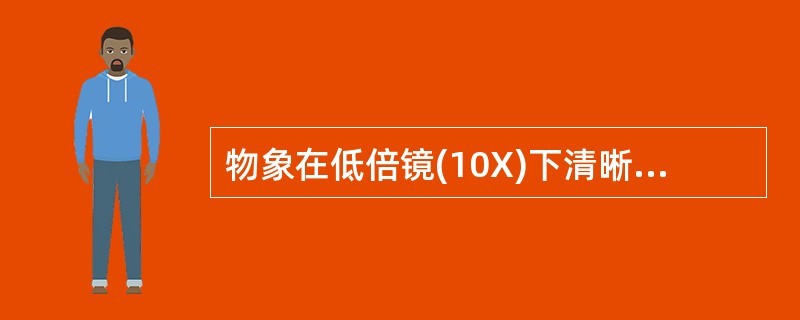 物象在低倍镜(10X)下清晰可见，换高倍镜(40X)后看不见了，这是因为（）