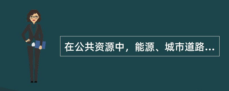 在公共资源中，能源、城市道路、路灯、桥梁、交通标志等属于()。