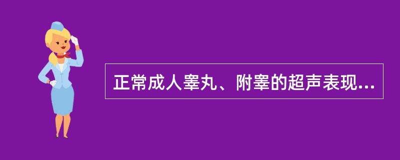 正常成人睾丸、附睾的超声表现哪一项是错误的（）