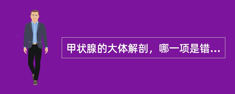 甲状腺的大体解剖，哪一项是错误的（）