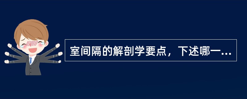 室间隔的解剖学要点，下述哪一项是错误的（）