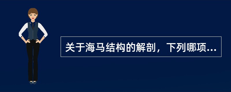 关于海马结构的解剖，下列哪项不对（）