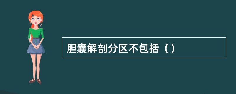 胆囊解剖分区不包括（）