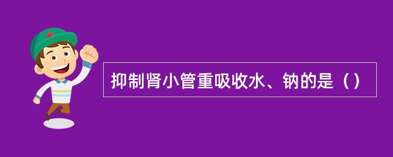 抑制肾小管重吸收水、钠的是（）