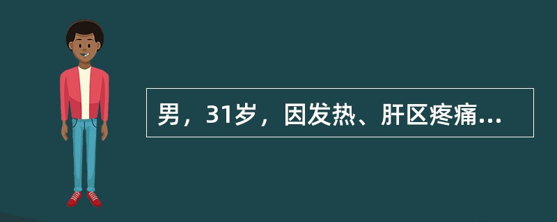 男，31岁，因发热、肝区疼痛来诊。超声发现肝肿大，右肝可见椭圆形占位病变6.0cmX5.5cm，其边界清晰、光滑，内部有低回声，肿物后方回声显著增强，可见侧边声影。根据声像图特征，诊断最有可能是（）