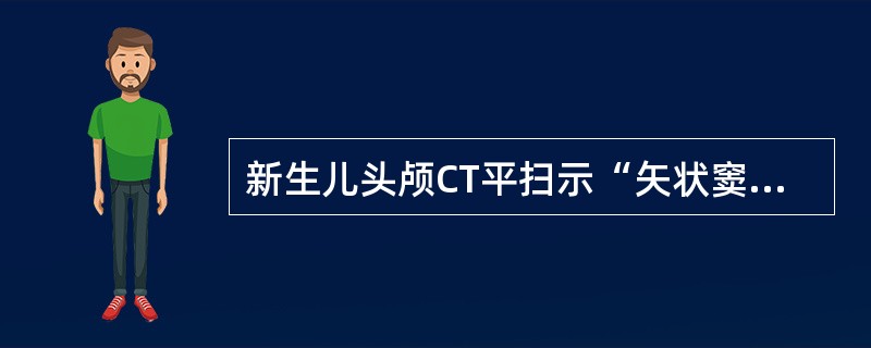 新生儿头颅CT平扫示“矢状窦旁征”，提示（）