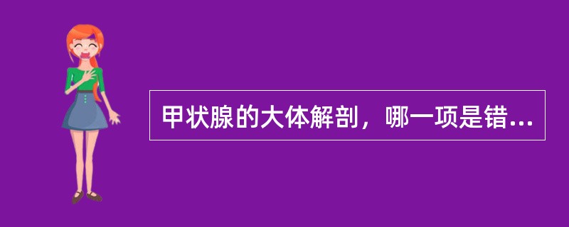 甲状腺的大体解剖，哪一项是错误的（）