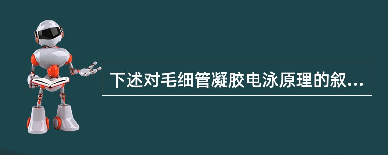 下述对毛细管凝胶电泳原理的叙述中，不正确的是（）