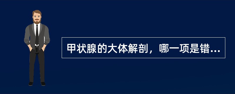 甲状腺的大体解剖，哪一项是错误的（）