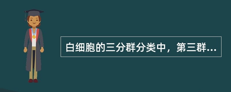 白细胞的三分群分类中，第三群细胞区中主要是（）