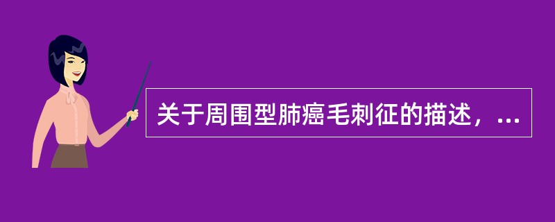 关于周围型肺癌毛刺征的描述，不正确的是（）