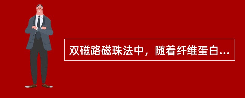 双磁路磁珠法中，随着纤维蛋白的产生增多，磁珠的振幅逐渐（）