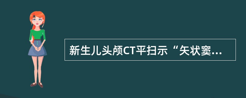新生儿头颅CT平扫示“矢状窦旁征”，提示（）