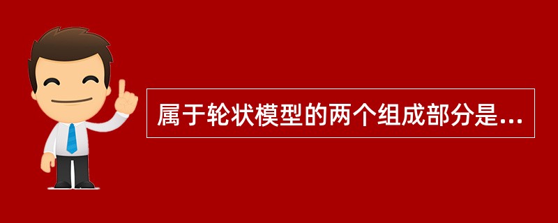 属于轮状模型的两个组成部分是（）。