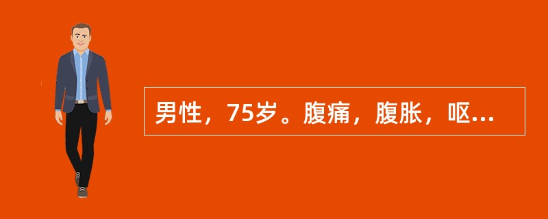 男性，75岁。腹痛，腹胀，呕吐，肛门停止排便排气2天。全腹压痛明显，腹部平片示肠管可见多处液平面。首先考虑为（）。