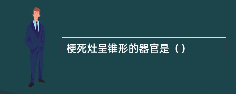 梗死灶呈锥形的器官是（）