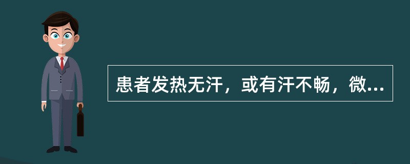 患者发热无汗，或有汗不畅，微恶风寒，头痛口渴，咳嗽咽痛，舌尖红，苔薄白或微黄，脉浮数。治宜（）