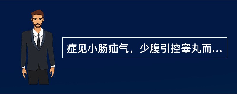 症见小肠疝气，少腹引控睾丸而痛，偏坠肿胀，或少腹疼痛，舌苔白，脉弦。选下列何方治疗最佳（）