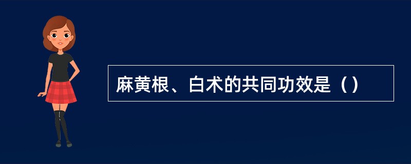 麻黄根、白术的共同功效是（）