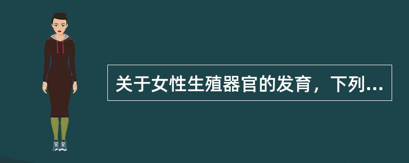 关于女性生殖器官的发育，下列说法错误的是（）