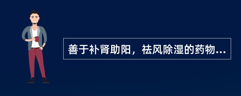 善于补肾助阳，祛风除湿的药物有（）