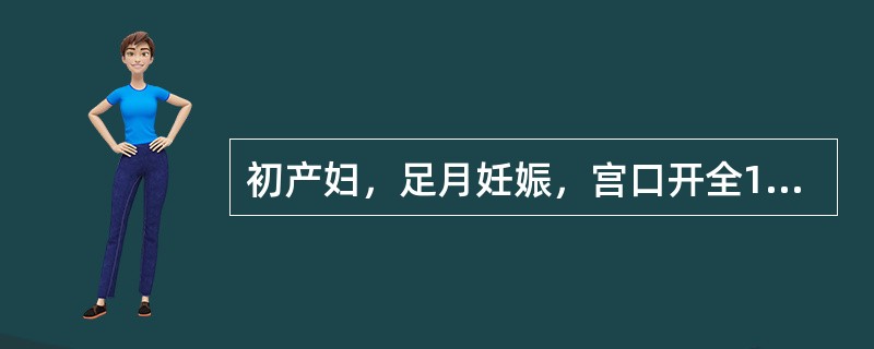 初产妇，足月妊娠，宫口开全1小时30分尚未分娩。阴道检查：头先露，宫口开全，胎头位于坐骨棘水平下3cm，枕左横位（10T），胎膜已破，羊水清，胎心率140次/分，估计胎儿重3200g。本例正确处理应是