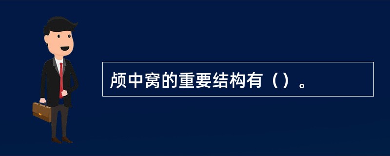 颅中窝的重要结构有（）。