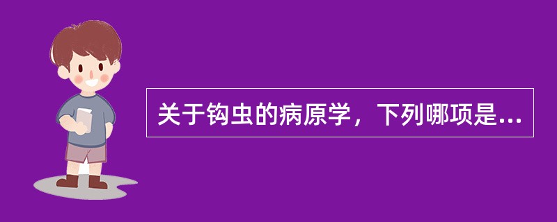 关于钩虫的病原学，下列哪项是正确的（）