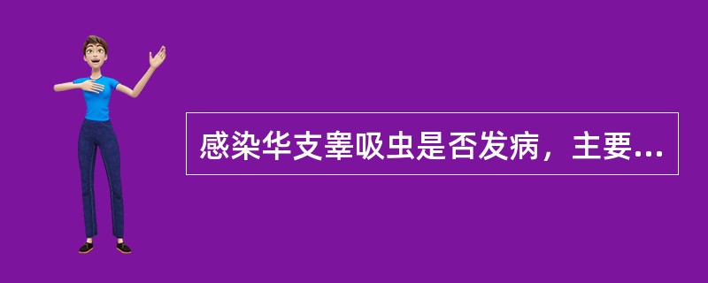 感染华支睾吸虫是否发病，主要取决于（）