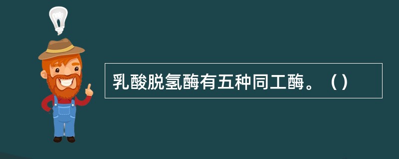 乳酸脱氢酶有五种同工酶。（）