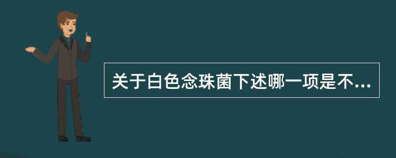 关于白色念珠菌下述哪一项是不正确的（）