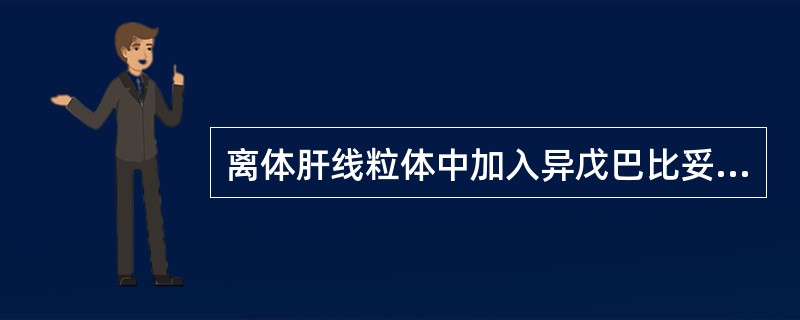 离体肝线粒体中加入异戊巴比妥和琥珀酸，其P/O比值是（）