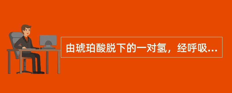 由琥珀酸脱下的一对氢，经呼吸链氧化可产生（）