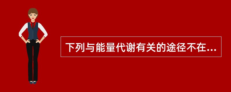 下列与能量代谢有关的途径不在线粒体内进行的是（）