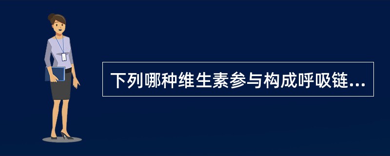 下列哪种维生素参与构成呼吸链？（）