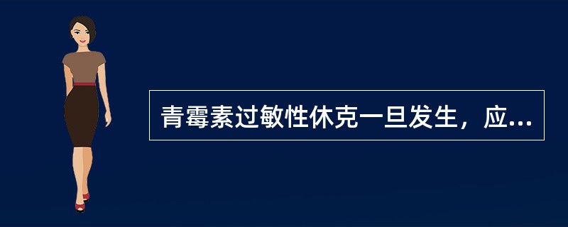 青霉素过敏性休克一旦发生，应立即注射（）